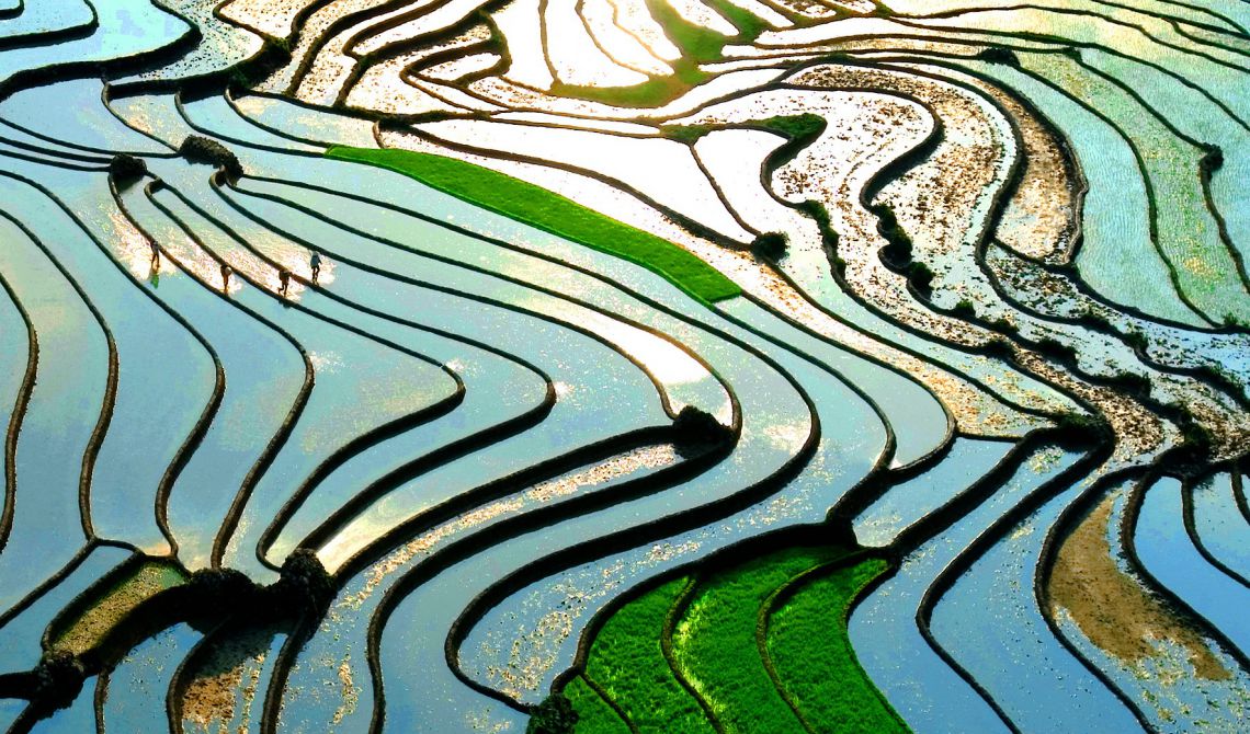 Image gallery